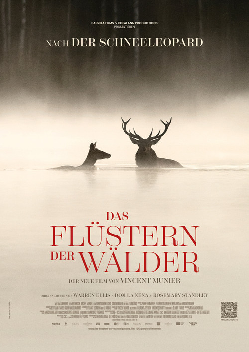 Poster für den Kinofilm Das Flüstern der Wälder