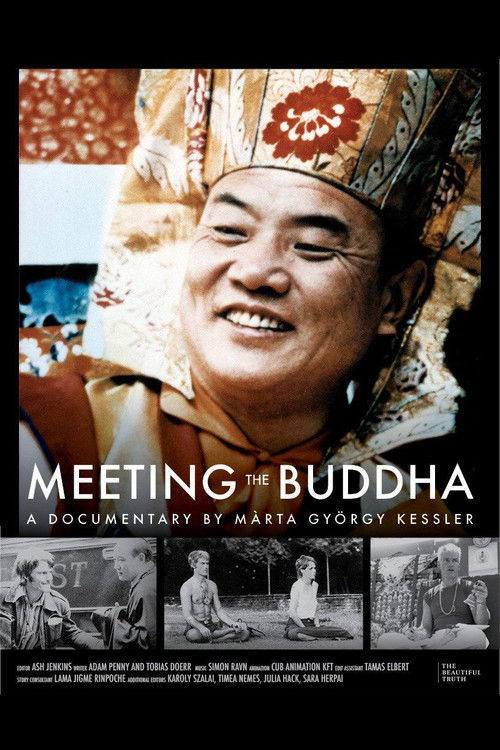 Poster für den Kinofilm Meeting the Buddha